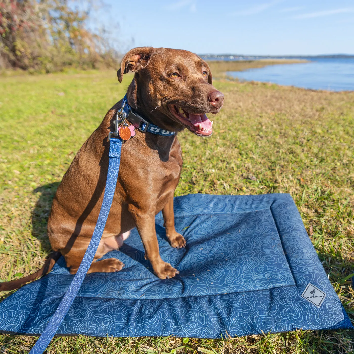 Ford Bronco Topographical Pet Cushion