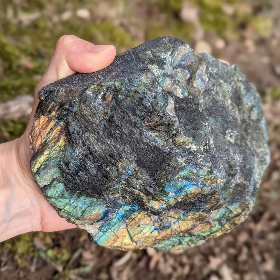 Labradorite ~ Large, Amazing Flash Polished and Rough Freeform Display Specimen