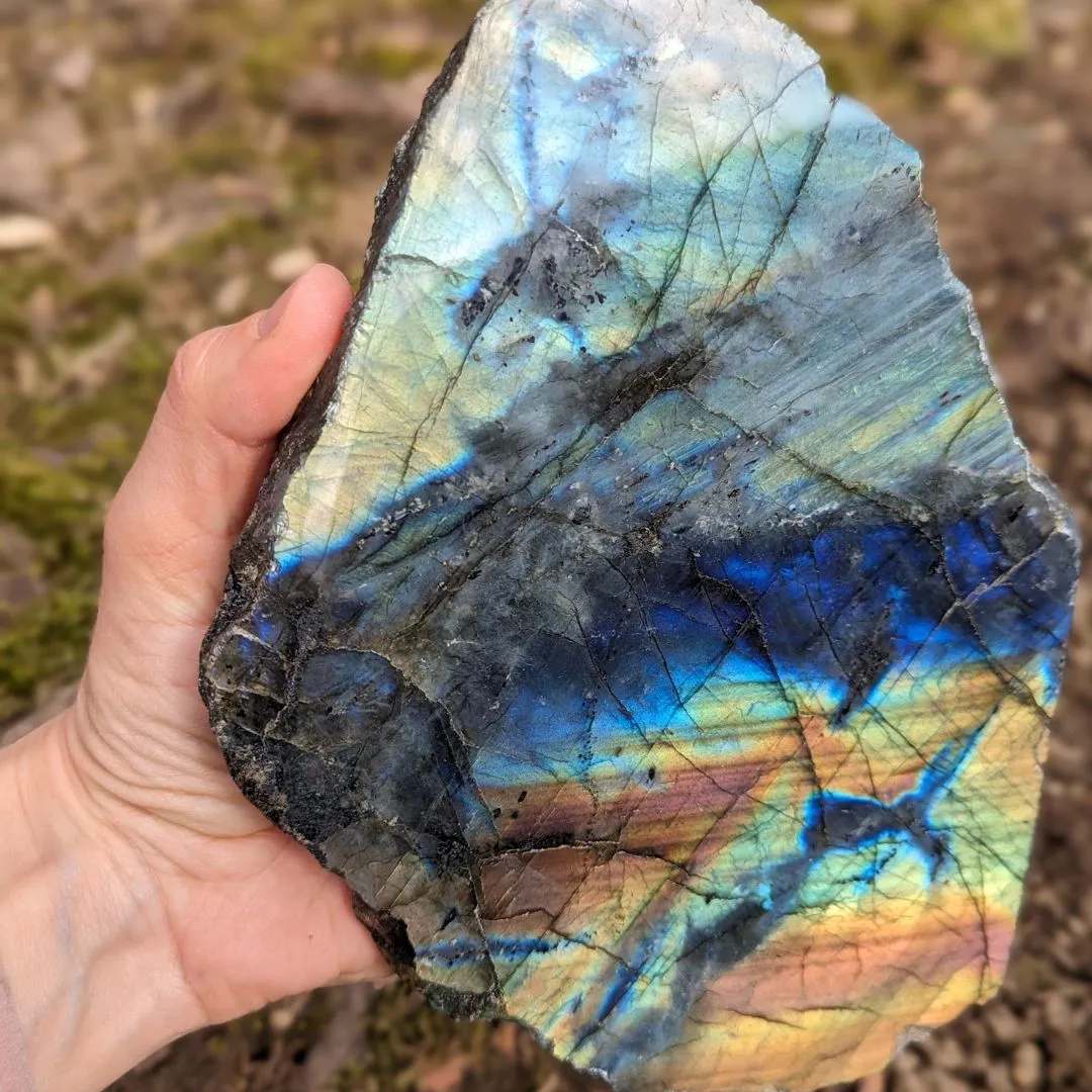 Labradorite ~ Large, Amazing Flash Polished and Rough Freeform Display Specimen