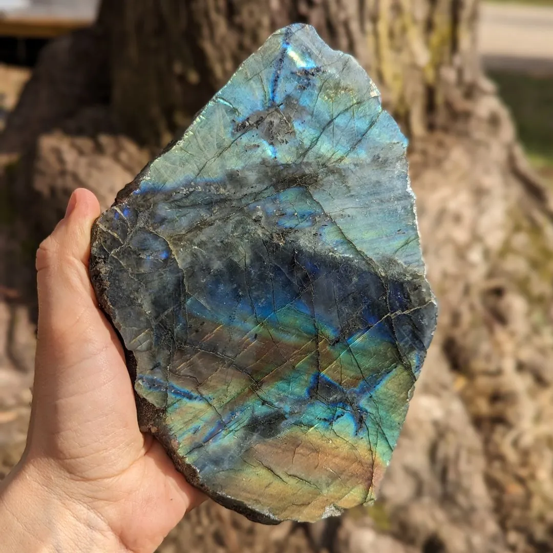 Labradorite ~ Large, Amazing Flash Polished and Rough Freeform Display Specimen