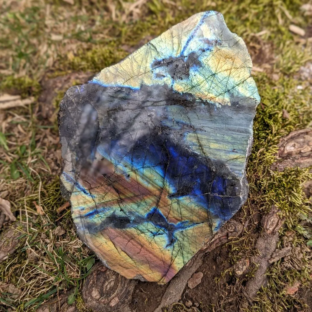 Labradorite ~ Large, Amazing Flash Polished and Rough Freeform Display Specimen