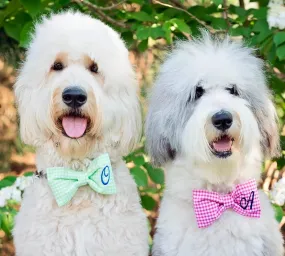 Monogram Dog Bow Ties and Girl Bows in Gingham