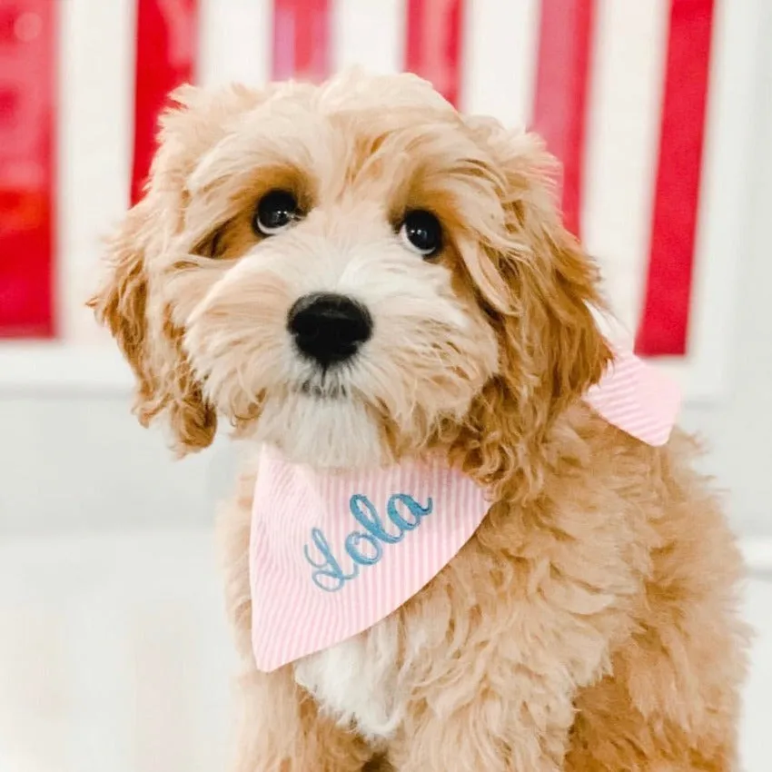 Personalized Seersucker Dog Bandana with Name