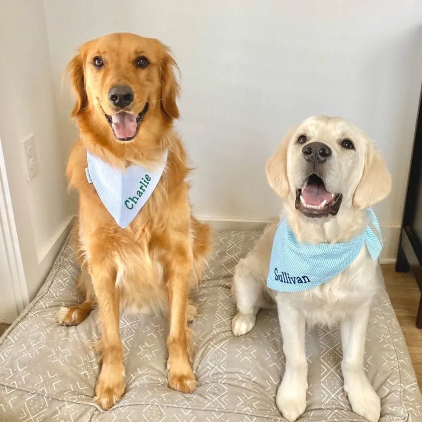 Personalized Seersucker Dog Bandana with Name