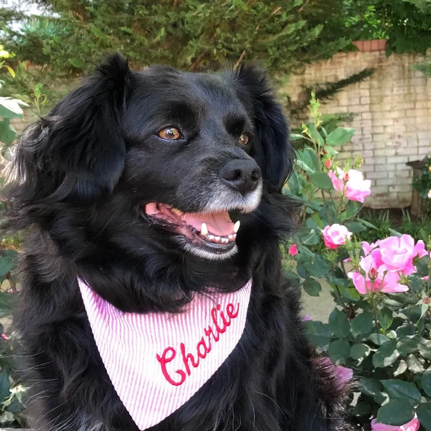 Personalized Seersucker Dog Bandana with Name