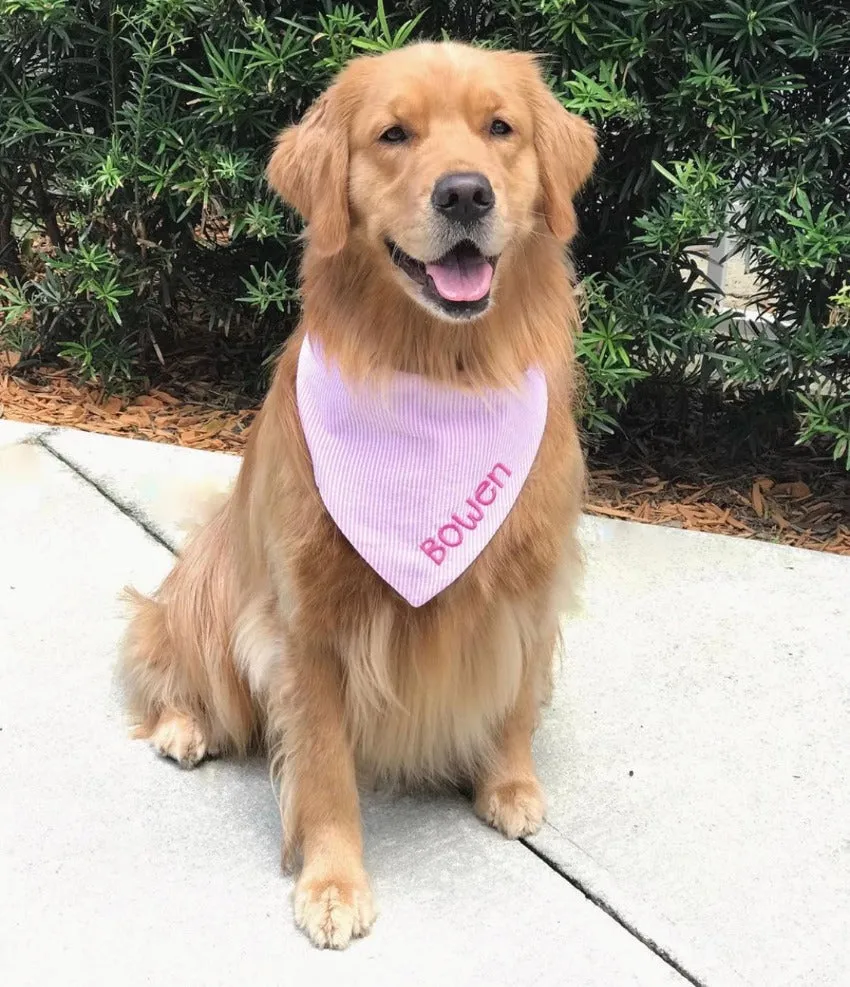 Personalized Seersucker Dog Bandana with Name